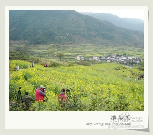 烟花三月游江南之——婺源美景