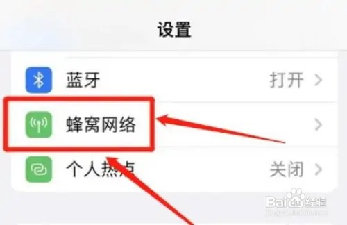 如何设置启用苹果独立5G