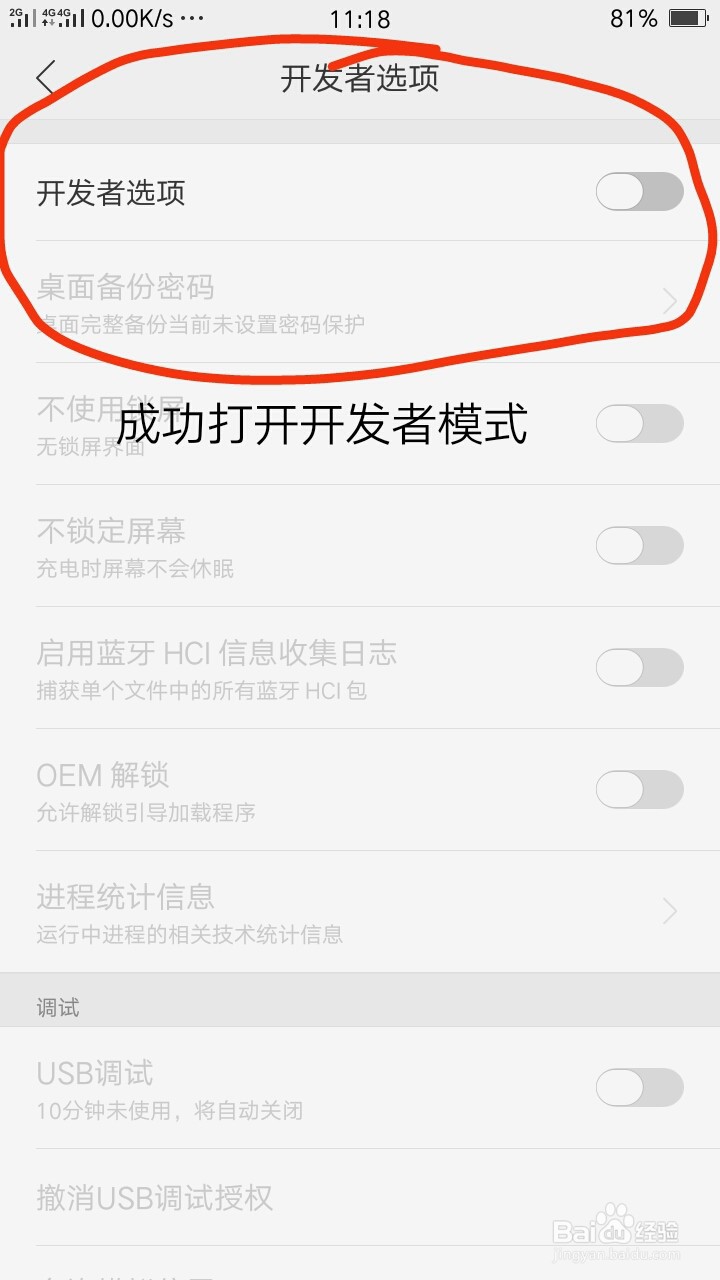 手机如何打开开发者模式