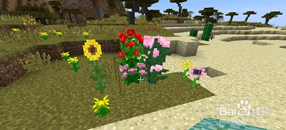 我的世界怎么增加生命上限