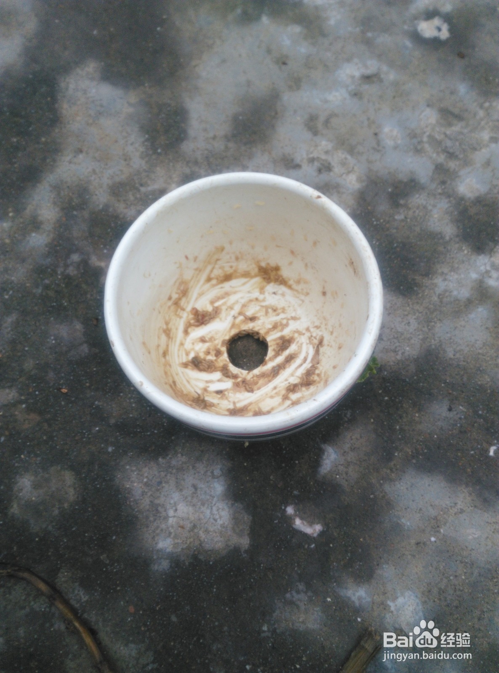 骨头做肥料的办法