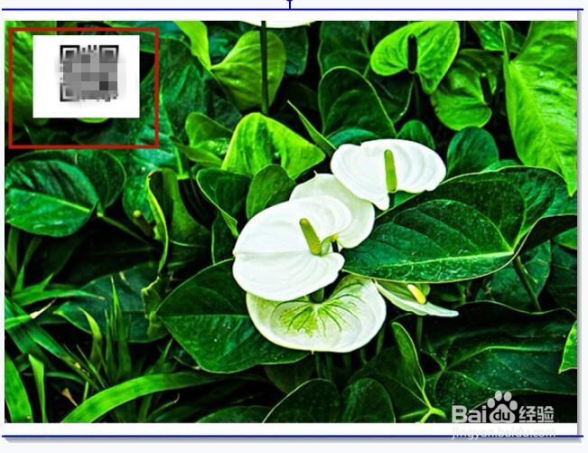 怎么把二维码放到图片上？