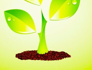 皮肤干燥的治疗方法