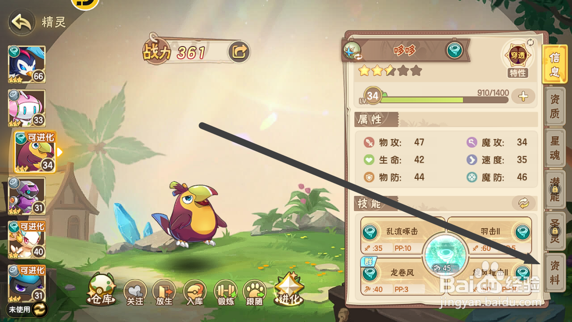 西普大陆如何查看哆哆的【主要分布】？