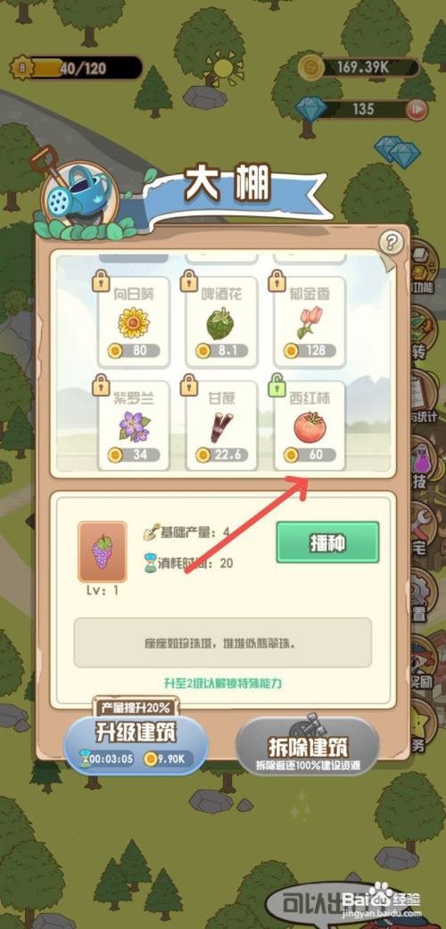 【花语农场】在大棚区域种植西红柿的攻略