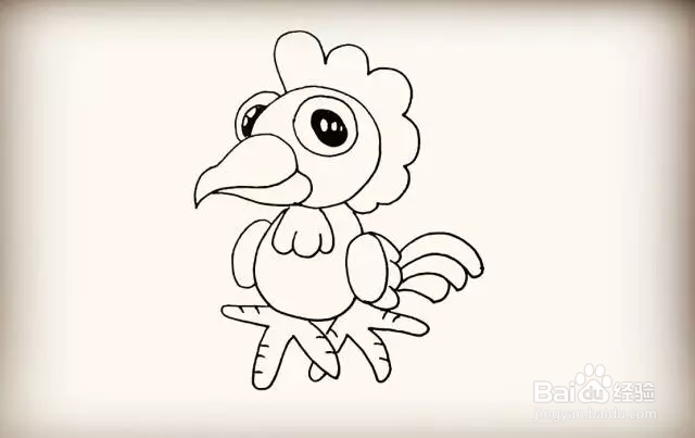 简笔画画可爱公鸡
