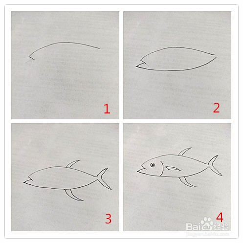 鲅鱼简笔画图片