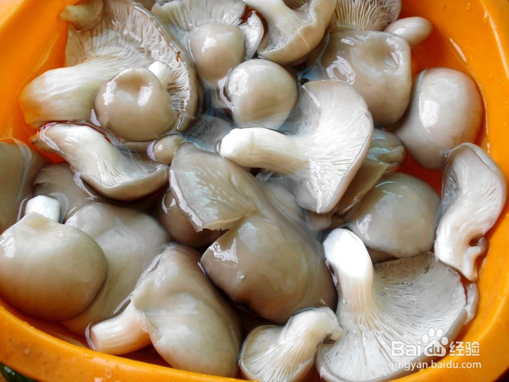 素炒平菇的简单做法