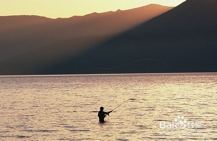 鱼竿有哪些种类