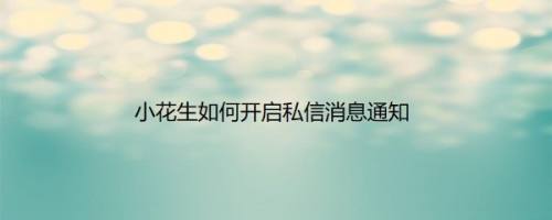 小花生如何开启私信消息通知
