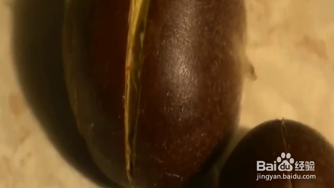 如何快速巧妙地剥开板栗的小技巧