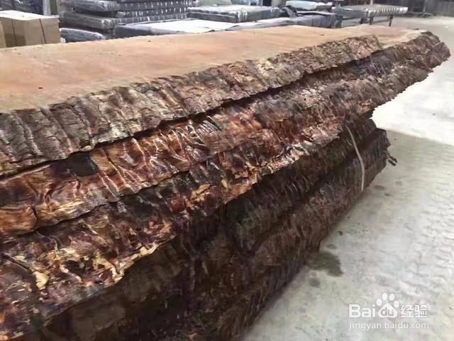 红木老师傅现场处理3400年非洲树王