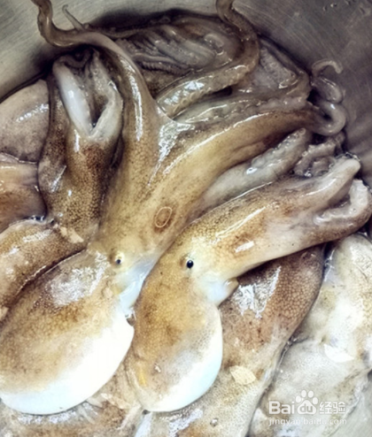 八带鮹怎么做好吃