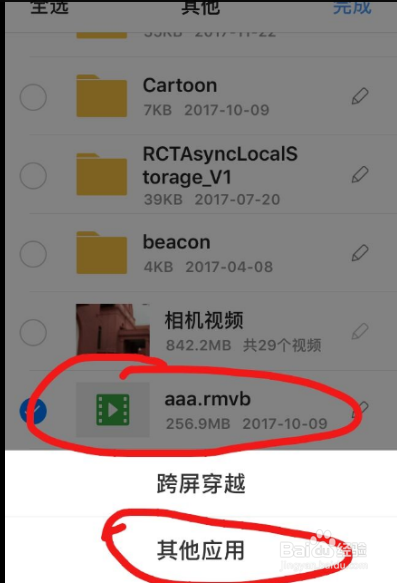 如何将iPhone浏览器中的视频文件下载到电脑
