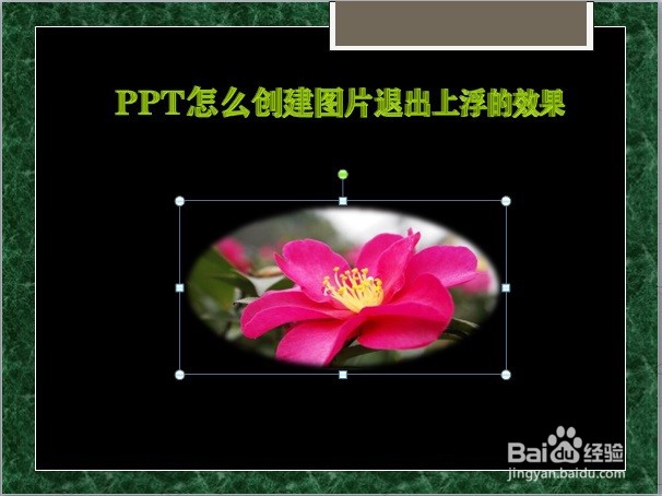 PPT怎么创建图片退出上浮的效果