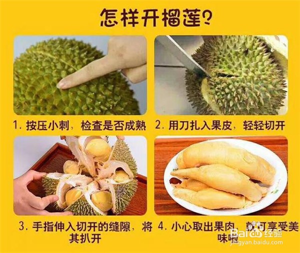 金枕榴莲如何挑选,有什么特征