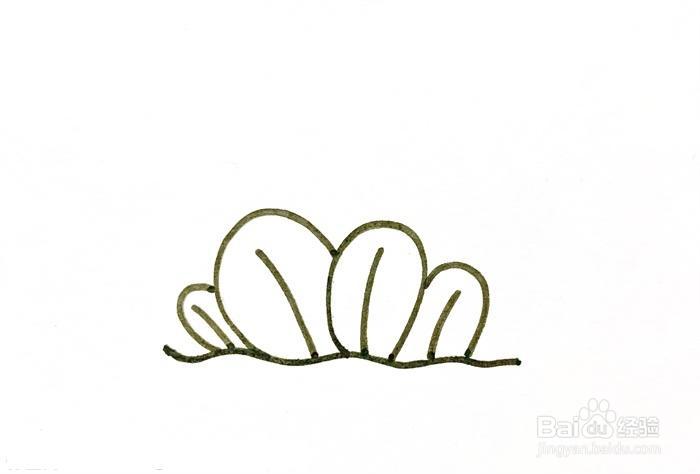 狗尾巴草怎么画