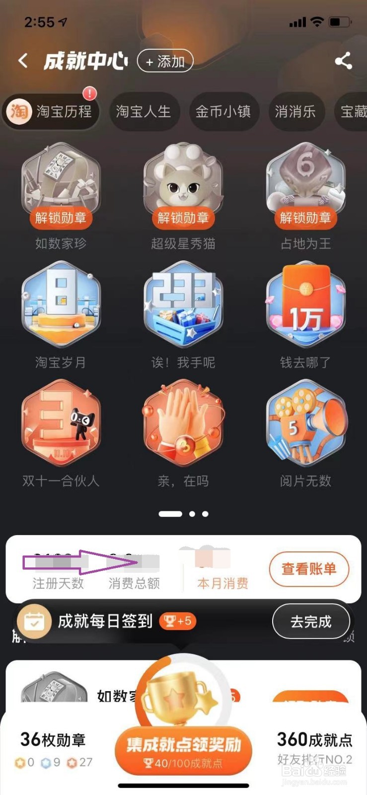 淘宝怎么查看自己一共消费了多少金额?