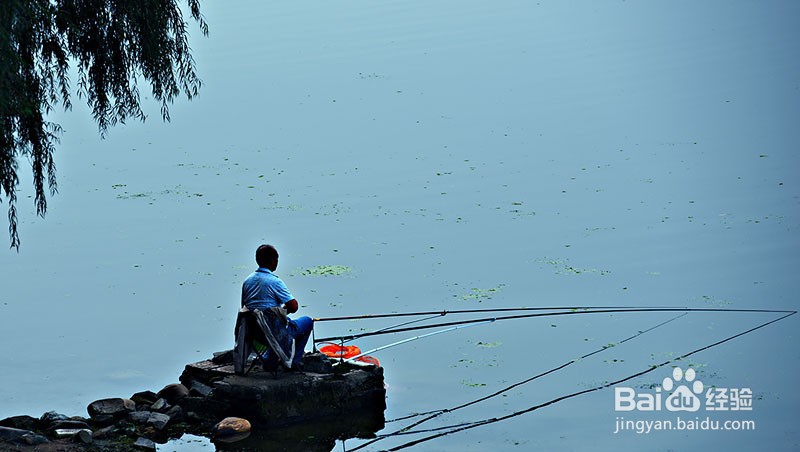 钓黑鱼的小攻略简单教学