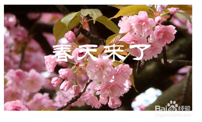 PPT中文字穿插图片的制作方法
