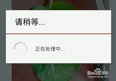 如何根据图片照片识别植物名称?