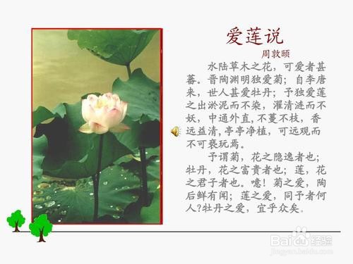 如何打造阅读精品课