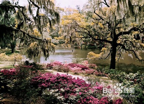好照片的拍摄技法：色彩篇
