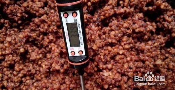 药桑果乳杆菌发酵饮料配方技术的研发