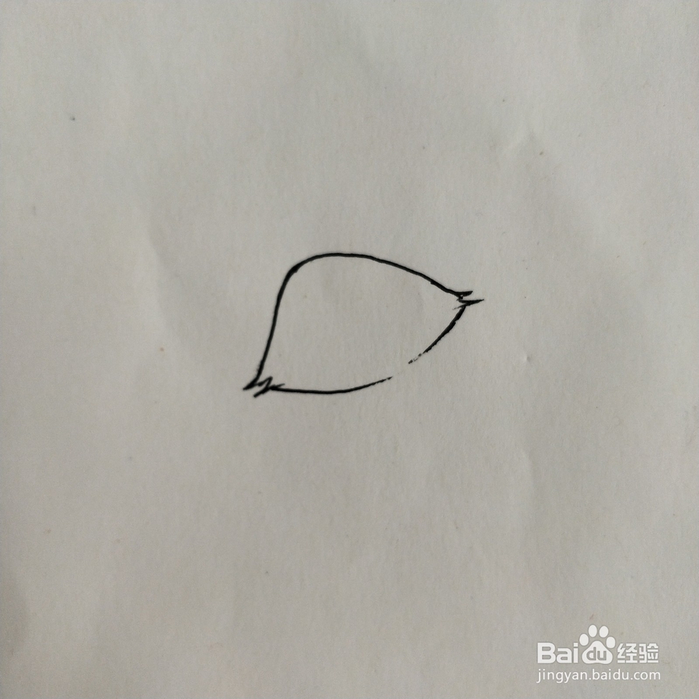 怎么画狐狸的卡通简笔画