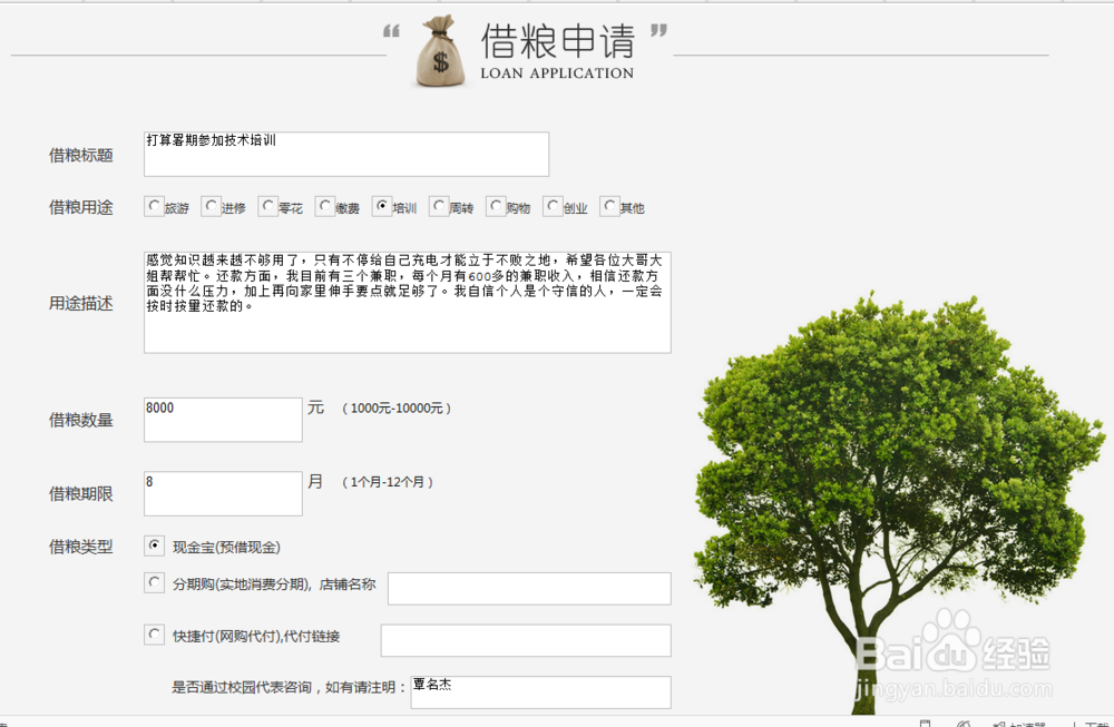 如何在学信贷上快速申请贷款