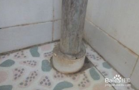 家里有蠼螋怎么消灭