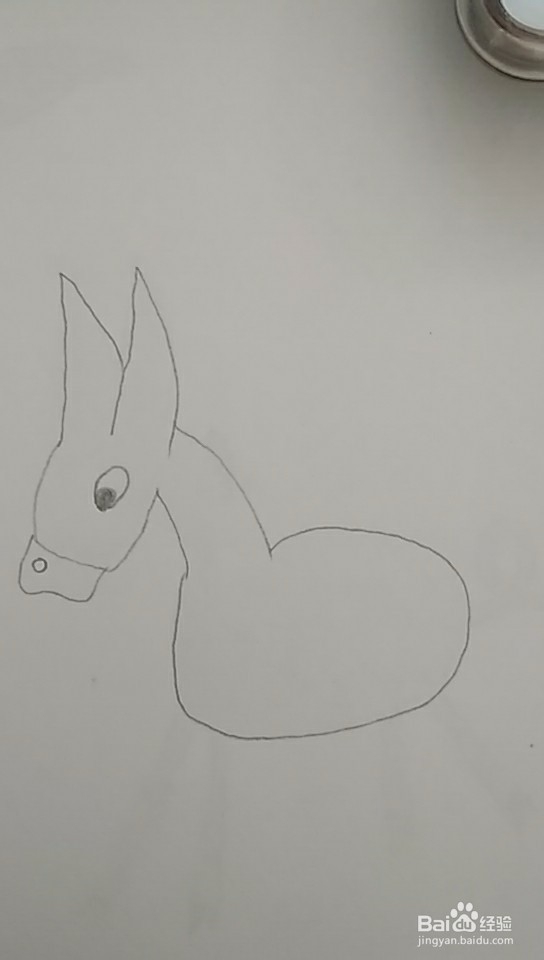 多妈简笔画动物一只小毛驴