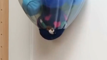 如何将塑料桶变废为宝?