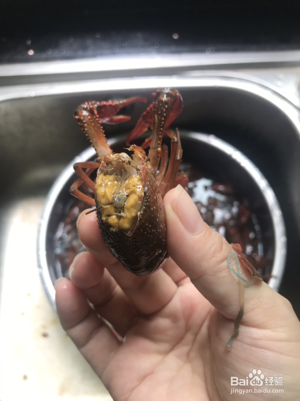 新手做的麻辣小龙虾