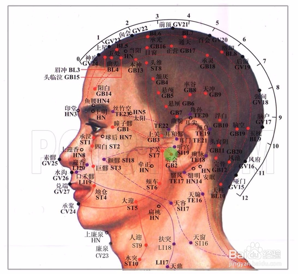 中医教你如何防治过敏性鼻炎