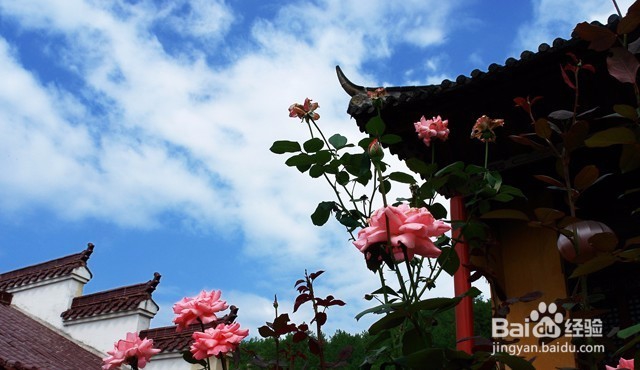 为何微信发出的语音听起来不像是自己的