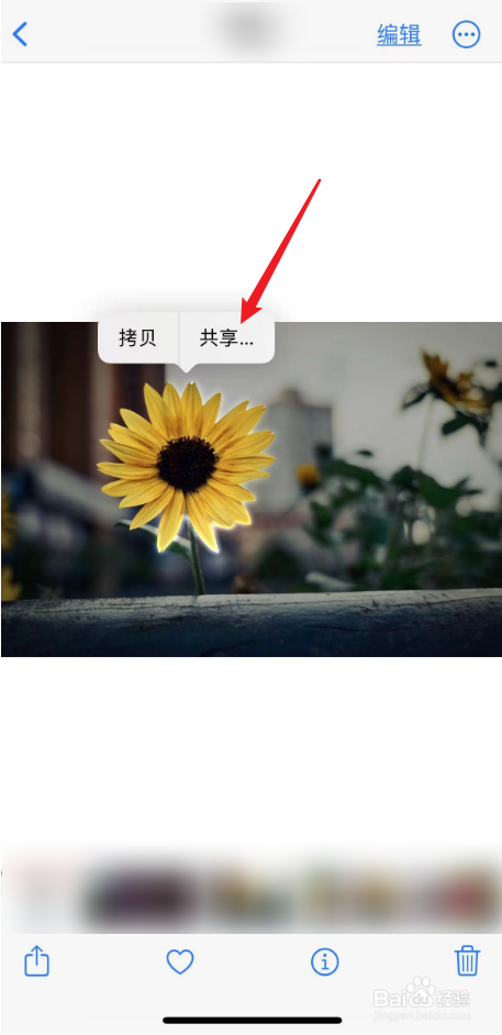 苹果手机抠图后怎么保存