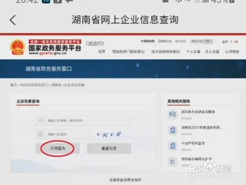 我的桃江怎样查询企业信息