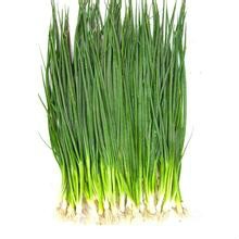 茴香可以做成包子烙成小饼真好吃