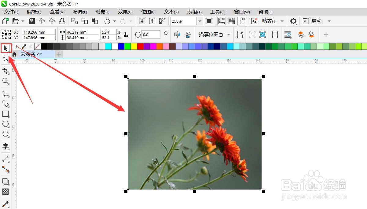 CorelDRAW怎样给图片做玻璃砖效果