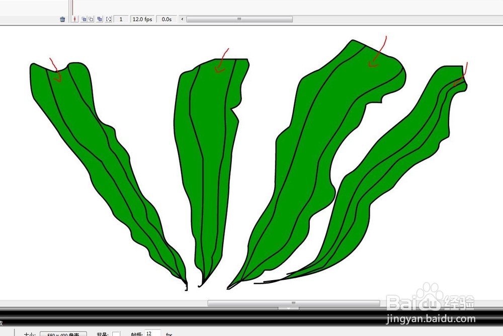 flash如何绘制海底的海带教程