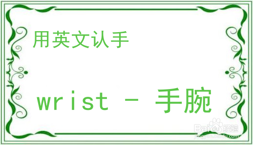 教你用英文认手