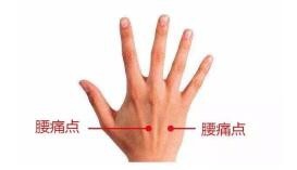 经外奇穴——腰痛点