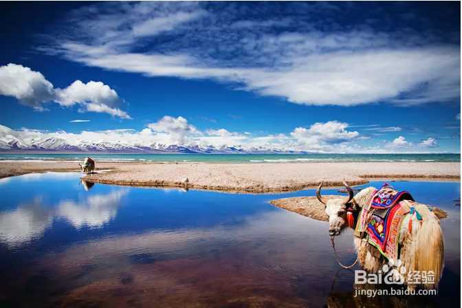 领略川藏线上的美丽风景