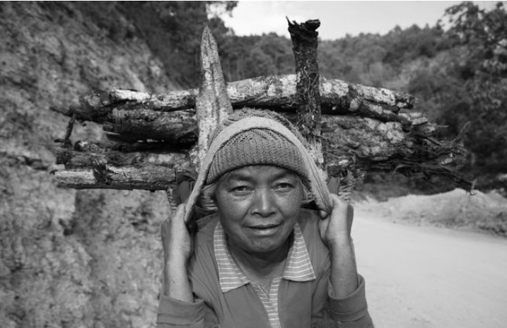 苦聪族是个什么样的民族为什么56个民族中没有