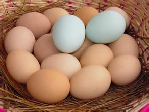 简单美食煎小鸡蛋的制作方法