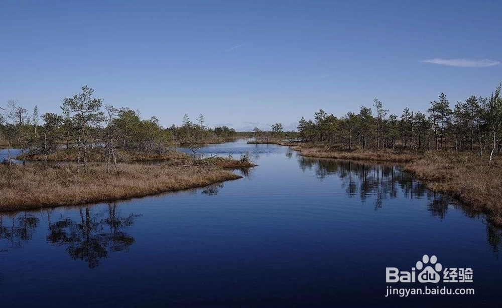 如何调控养殖池塘混浊水色
