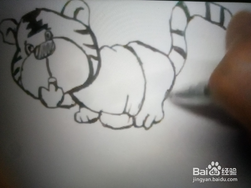 怎么画简笔画动物类之老虎