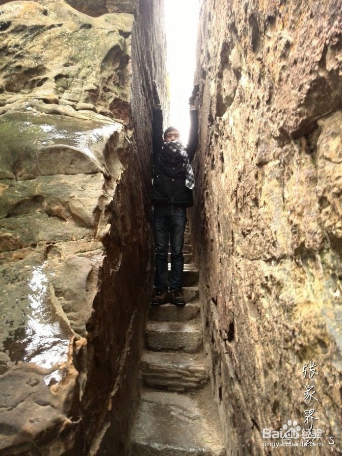 2016张家界旅游攻略实用攻略+费用+小贴士+游记