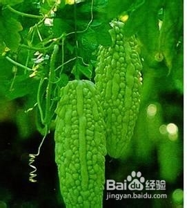 最难吃的五大蔬菜养生功效却很不凡